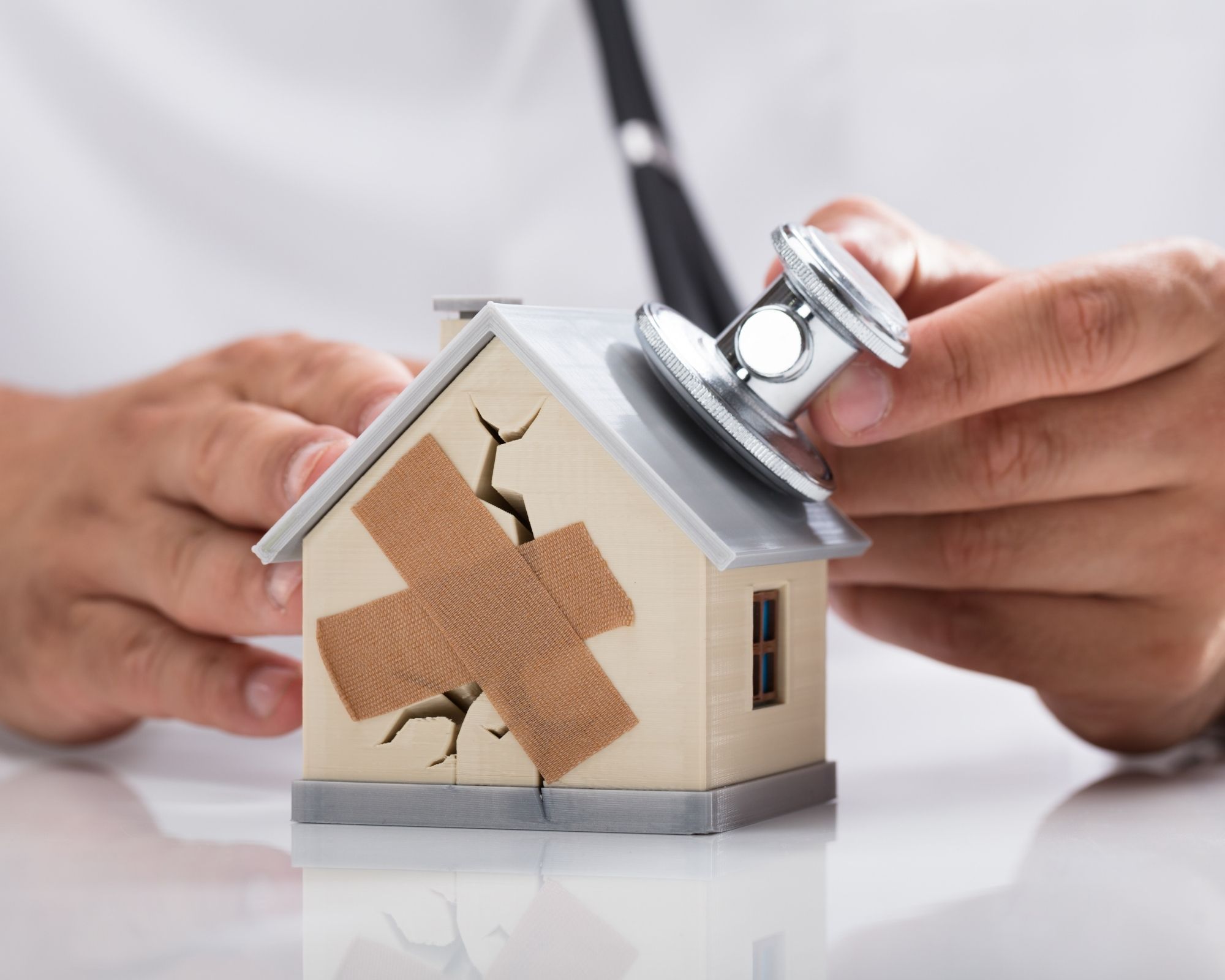 L’expertise vices cachés immobilier Vices cachés immobilier