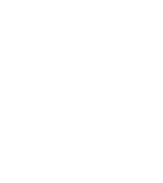 Logo Check my House blanc