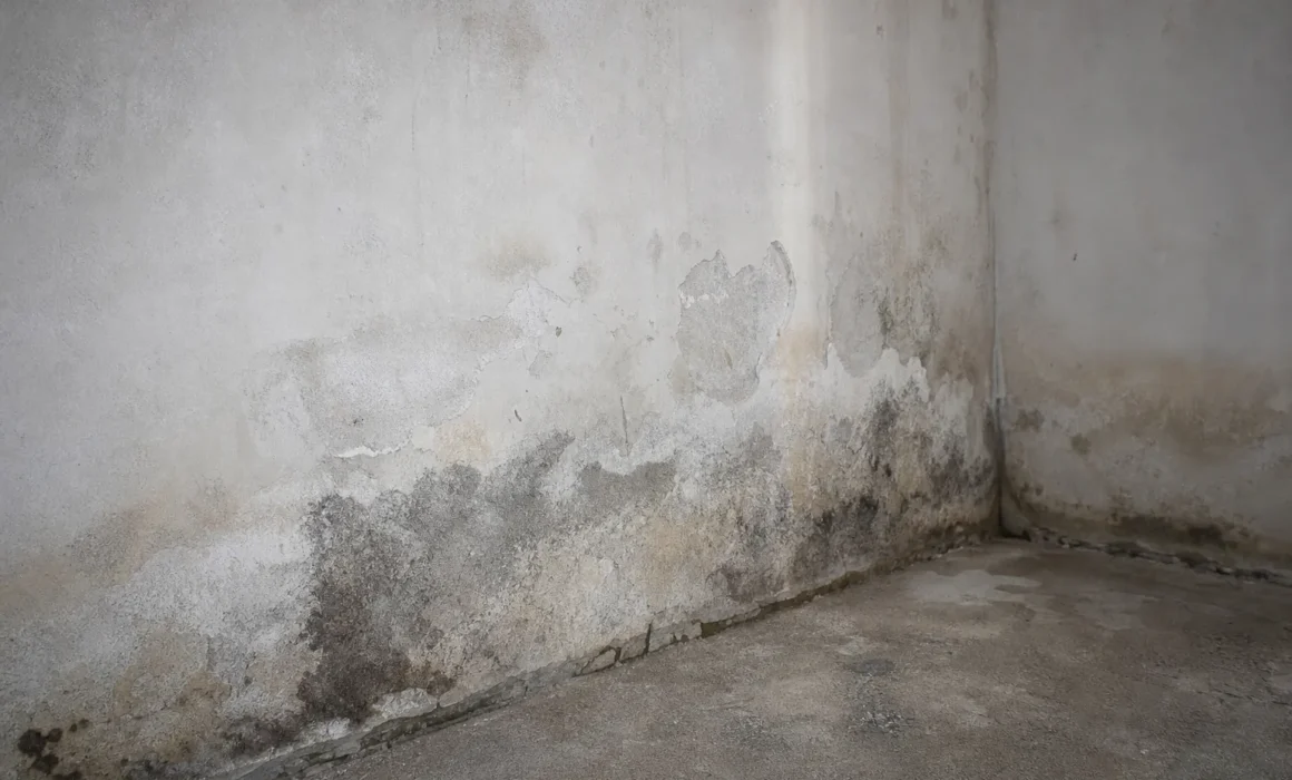 "Ventilation